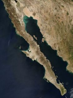 Baja_peninsula_(mexico)_250m